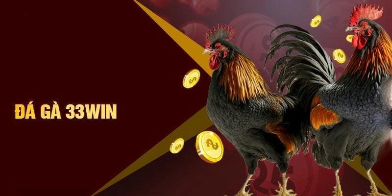 Đá Gà 33WIN - Sân Chơi Đẳng Cấp Dành Cho Các Kê Thủ thomo